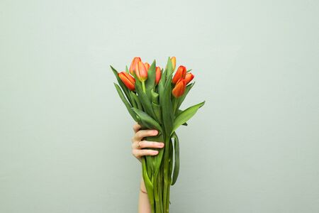 Red tulips. Colorful cards for Mother's Day, Birthday, International Women's Day on March 8th