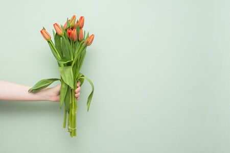 A bouquet of flowers for the holiday. Tulips of red color. Spring flowers. Greeting card for...