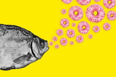 Concept fish and donuts on a colored background. Modern art collage