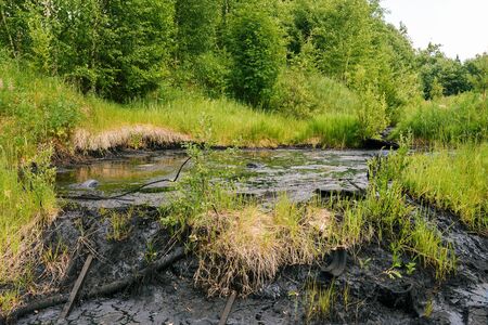 Pollution of nature by chemical and industrial waste. Black toxic liquid in the forest. Oil spill. Ecological catastrophyの写真素材
