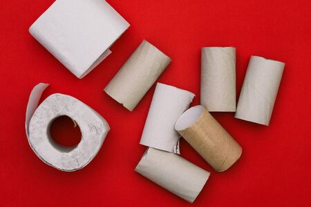 A round, cylindrical cardboard tube from toilet paper. Remains of toilet paper on a red background. Rolls of soft white paperの写真素材