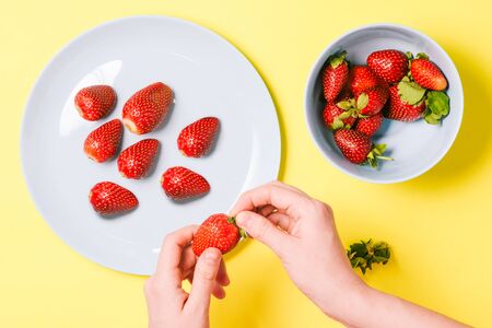Girl peels strawberries for breakfast. Man's hand holds strawberries on a yellow background. Healthy and wholesome foodの写真素材