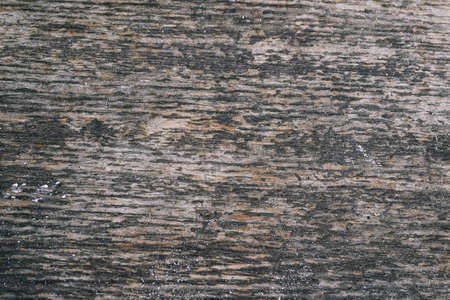 Old tree texture. A wooden table with rough edges and scratches