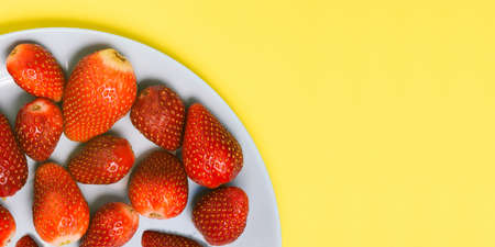 Strawberries in a plate on a colored background close-up. Top view, copy space.