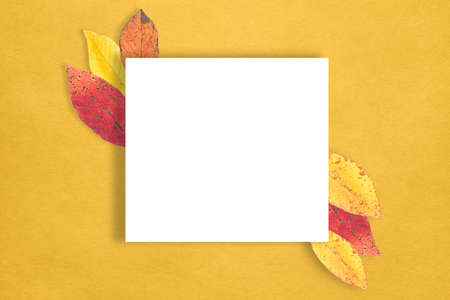 Autumn composition. Paper billet, dry leaves on a yellow background. Flat sunbed, top view, space for copying.の写真素材