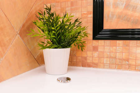 Interior of the bathroom. White pot with a plant stands near the hot tub. The repair and reconstruction of apartmentsの写真素材