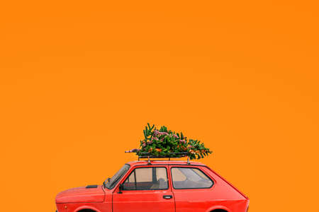 Car with a Christmas tree on the roof. Christmas background with copy space. Delivery of goods, New Years trips and tours.の写真素材