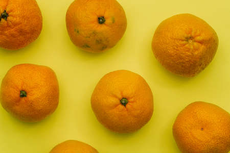 Tangerine fruits close-up on a yellow background. Ripe tangerines for Christmasの写真素材