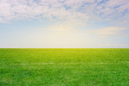 Green grass and blue sky with sunbeams. Empty field with grass in summer. Colorful green meadow. Nature backgroundの写真素材