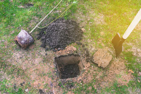 Planting young plants in the ground. A shovel, a sapling of a tree with roots and a dug hole. Gardening and agriculture. Environment and ecology concept. Reforestationの写真素材