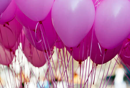 Bunch of pink and purple balloonsの写真素材