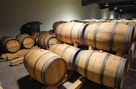 Wine barrels stacked in the old cellar of the winery, Bulgaria.