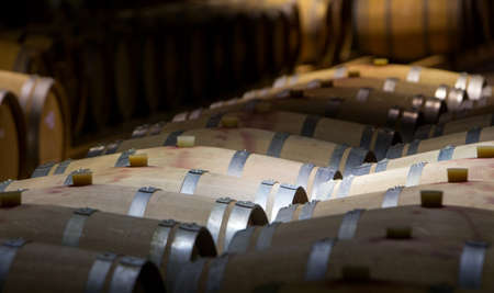 Wine barrels stacked in the old cellar of the winery, Bulgaria.