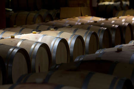 Wine barrels stacked in the old cellar of the winery, Bulgaria.のeditorial素材