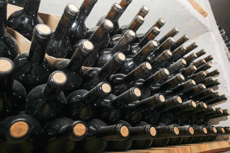 Cellar with old bottles of red wine.