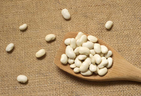 Wooden spoon with white beans
