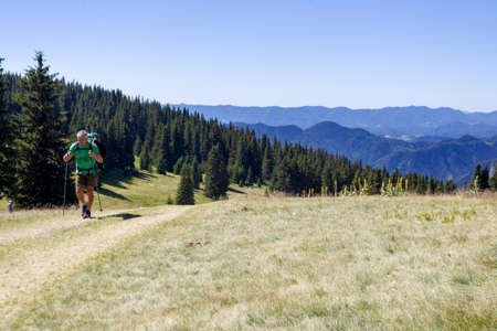 RHODOPE, BULGARIA - AUGUST 1: Tourists walks along Rhodopes mountain on August 1, 2017, Bulgaria.のeditorial素材