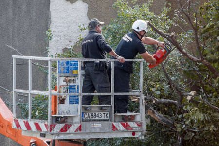 SOFIA, BULGARIA - SEPTEMBER 13: Bulgarian Civil Protection units removes fallen tree in Sofia downtown, 13 September, 2017.のeditorial素材