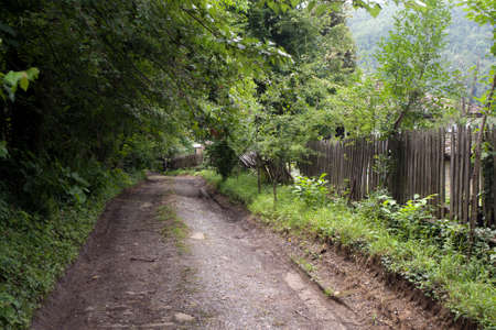 Village muddy road with wooden fence and treesの写真素材