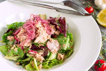 Green salad with tuna fish served in a elegant white plate.の写真素材