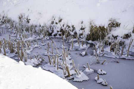Frozen creek somewhere in Alps.の写真素材