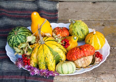 Autumn gifts. Still life with pumpkins, viburnum and flowers.の写真素材