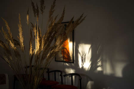 A tree in a dark roomの写真素材