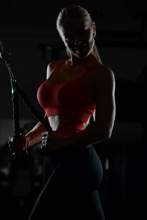 pretty caucasian fitness woman pumping up muscles workout fitness and bodybuilding concept gym background abs, arms, back, chest exercises in gym naked torsoの写真素材