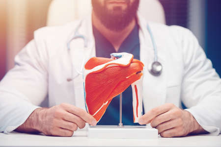The doctor holds mock chest and shoulder muscles. Health care conceptの写真素材