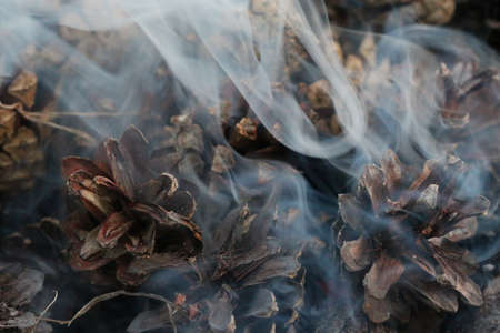 Christmas and New Year image. Postcard. Forest. Fir Cones on fire.の写真素材