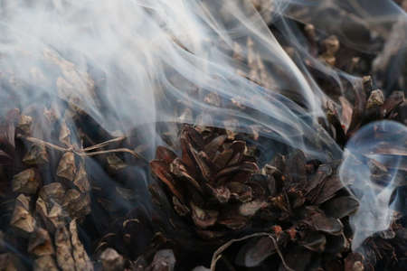 Fir Cones on fire. Christmas and New Year imege. Postcard. Forest.の写真素材