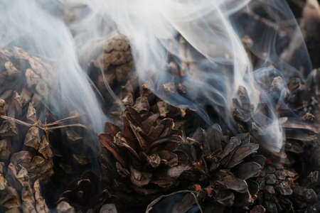 Fir Cones on fire. Christmas and New Year imege. Postcard. Forest.の写真素材