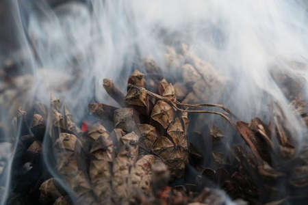 Fir Cones on fire. Christmas and New Year imege. Postcard. Forest.の写真素材