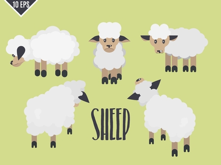 cute animal flat sheep collection vector illustrationのイラスト素材