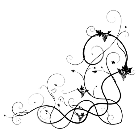 grape weaving tangled plant black on white backgroundのイラスト素材