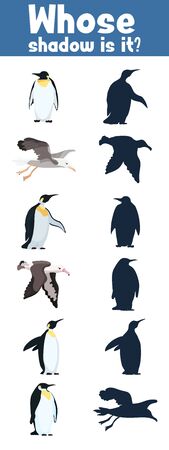 guess where whose shadow Antarctica birds flat styleのイラスト素材