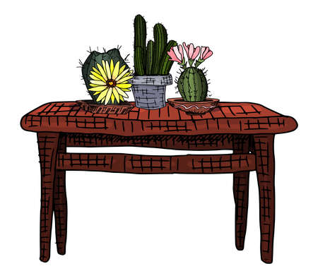 plants in clay pots. cacti on the table. doodle style vectorのイラスト素材