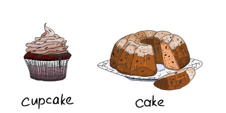 cupcake and cupcake ring. pastry baked goods. vector doodle sketchのイラスト素材