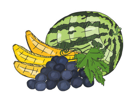 fruit bananas grapes and watermelon. doodle sketch vector bright juicyのイラスト素材