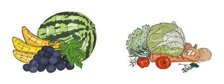 homemade vegetables and fruits watermelon potatoes and carrots. doodle sketch vectorのイラスト素材
