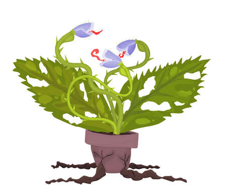 dangerous plants carnivorous plant three-headed dragon. vector flat styleのイラスト素材