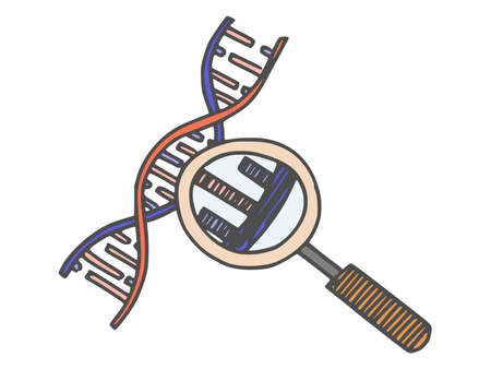 DNA examination under a magnifying glass. doodle simple drawing sketch vectorのイラスト素材