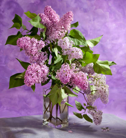  bouquet of spring purple Lilac in a vase.  Still lifeの写真素材