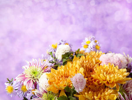 fragment of colorful chrysanthemums bunch on  defocused lilac  background