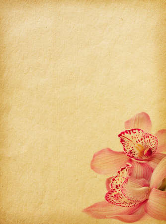old paper textures with orchids.の写真素材