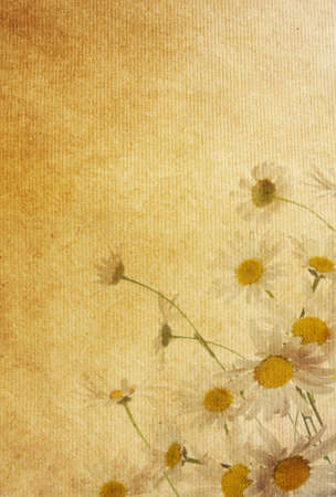 floral background with space for text or image   flower paper textures  の写真素材