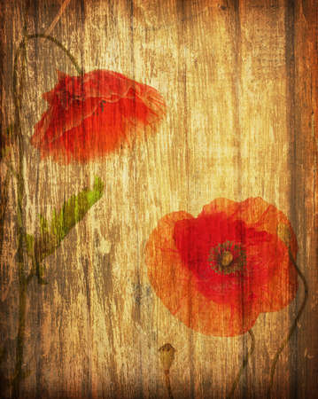 red poppies on a grunge wood backgroundの写真素材