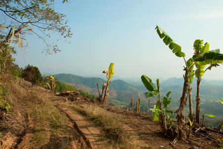 Country road  with banana trees in the mountains  Chiang Rai Province, Northern Thailand の写真素材