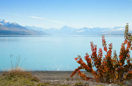 beautiful view of Lake Tekapo in autumn,  South Island,  New Zealand の写真素材