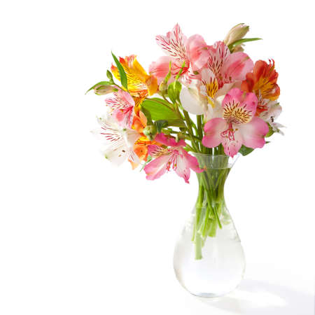 Bouquet of Alstroemeria flowers isolated on white background の写真素材